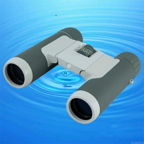 Outdoor 10X25mm Foldable Optical Binoculars D1025U