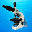 Biological Trinocular Educational Microscope TXS11-01C 